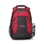 Matrix Computer Backpack- $24.98